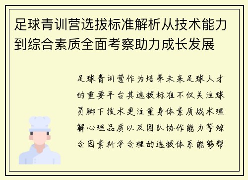 足球青训营选拔标准解析从技术能力到综合素质全面考察助力成长发展 足球青训营选拔标准解析从技术能力到综合素质全面考察助力成长发展